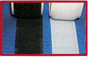 Plants: image 1 0f 4 thumb